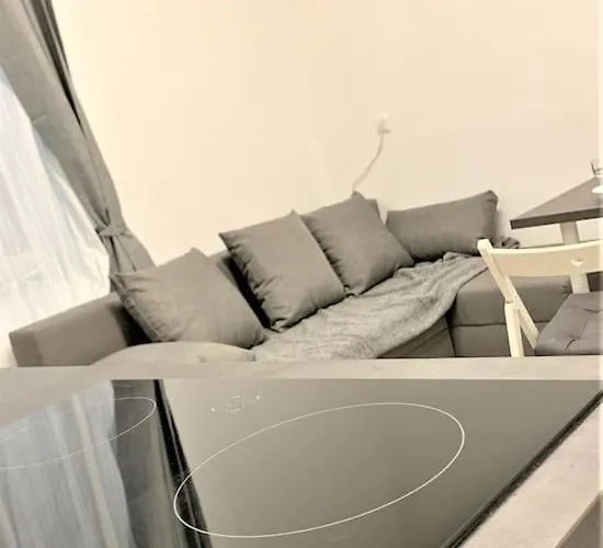 Daire Stilvoll Eingerichtete In Essen-suedviertel Essen